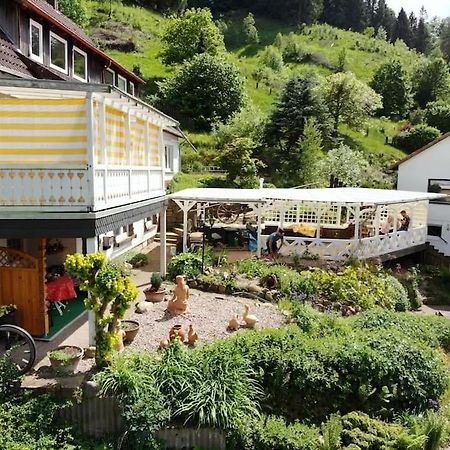 Ferienwohnung Am Hang Mit Malerischer Aussicht Osterode am Harz Luaran gambar