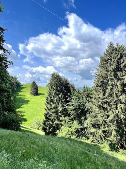 Ferienwohnung Am Hang Mit Malerischer Aussicht Osterode am Harz Luaran gambar