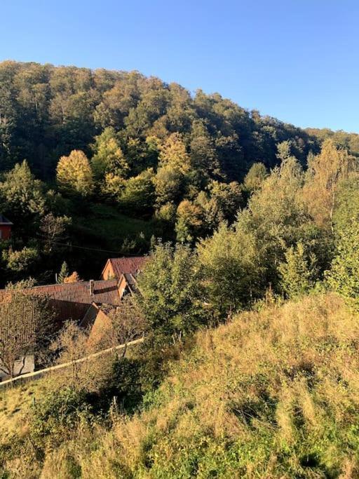Ferienwohnung Am Hang Mit Malerischer Aussicht Osterode am Harz Luaran gambar